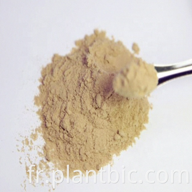 Bitter Melon Powder Freeze Dried Bitter Melon Powder Organic Bitter Melon Powder